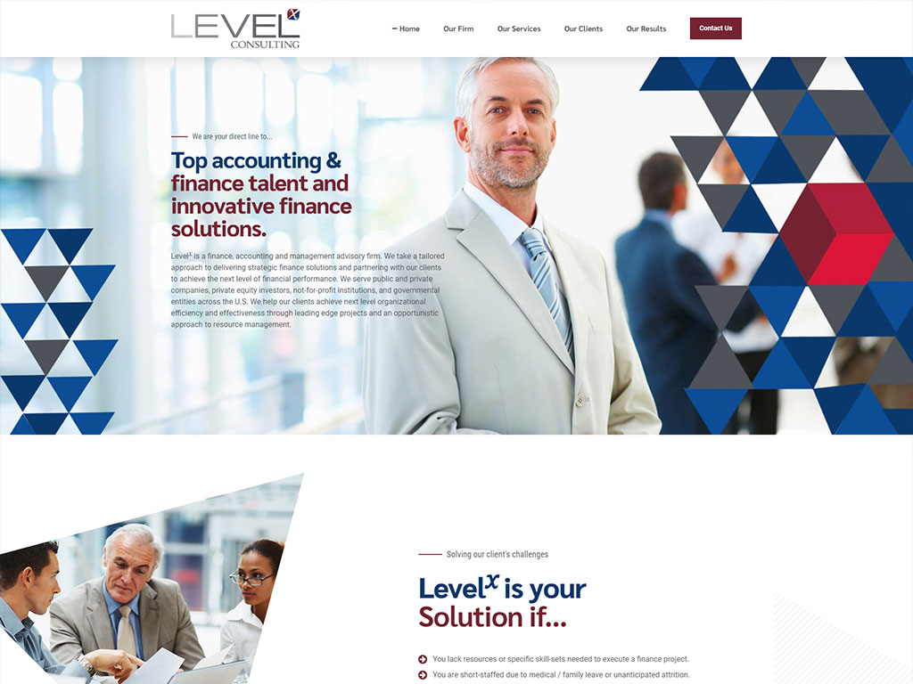 Levelx Consulting